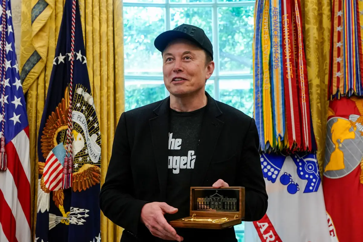 Elon Musk DOGE