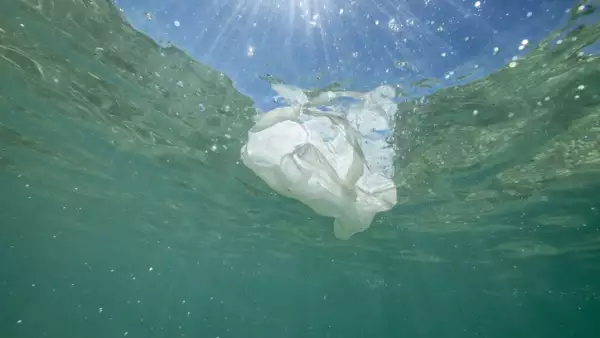 Plastic bag floating in the sea.
