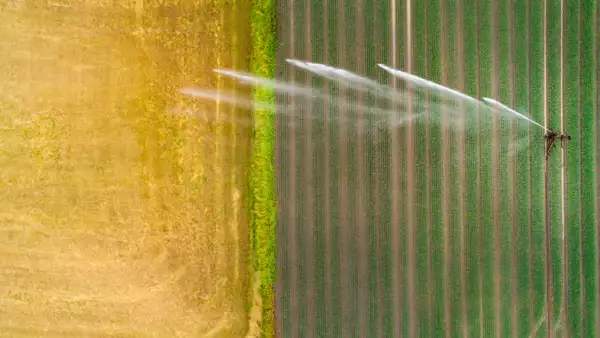 De grano en grano.