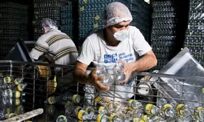 A toda velocidad. La planta de FOPA en Culiacán produce 50,000 litros de té al día. (Foto: Ramón Sánchez Belmont.)