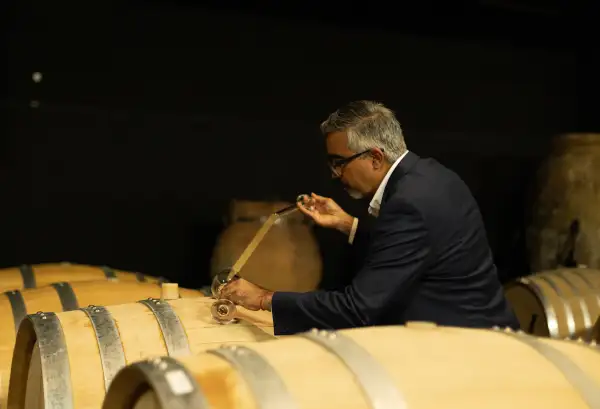 bodegas-domecq