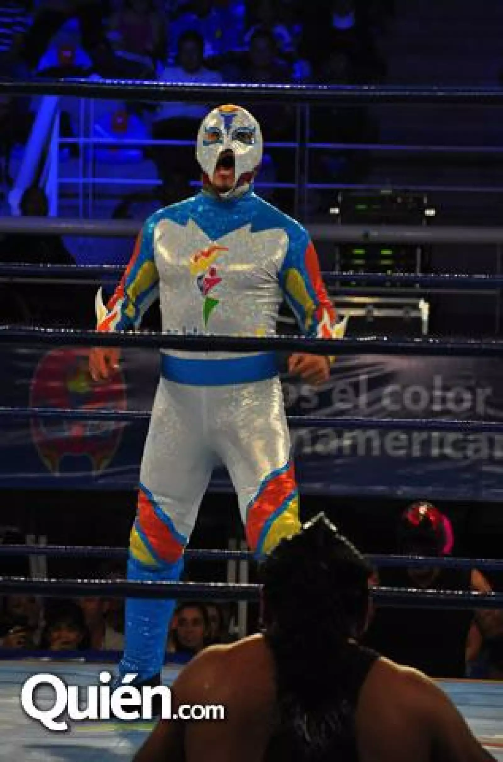 Luchadores en Acción