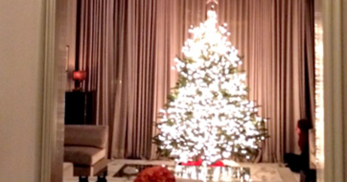 el decorador de arboles de navidad de