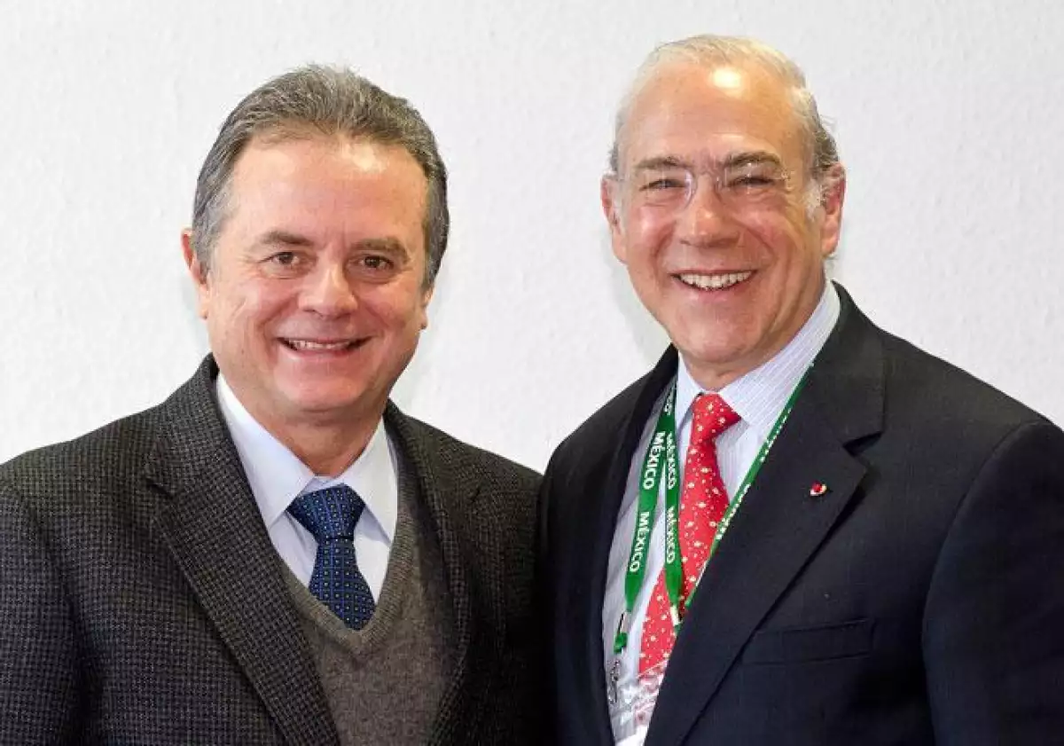 Coldwell y OCDE