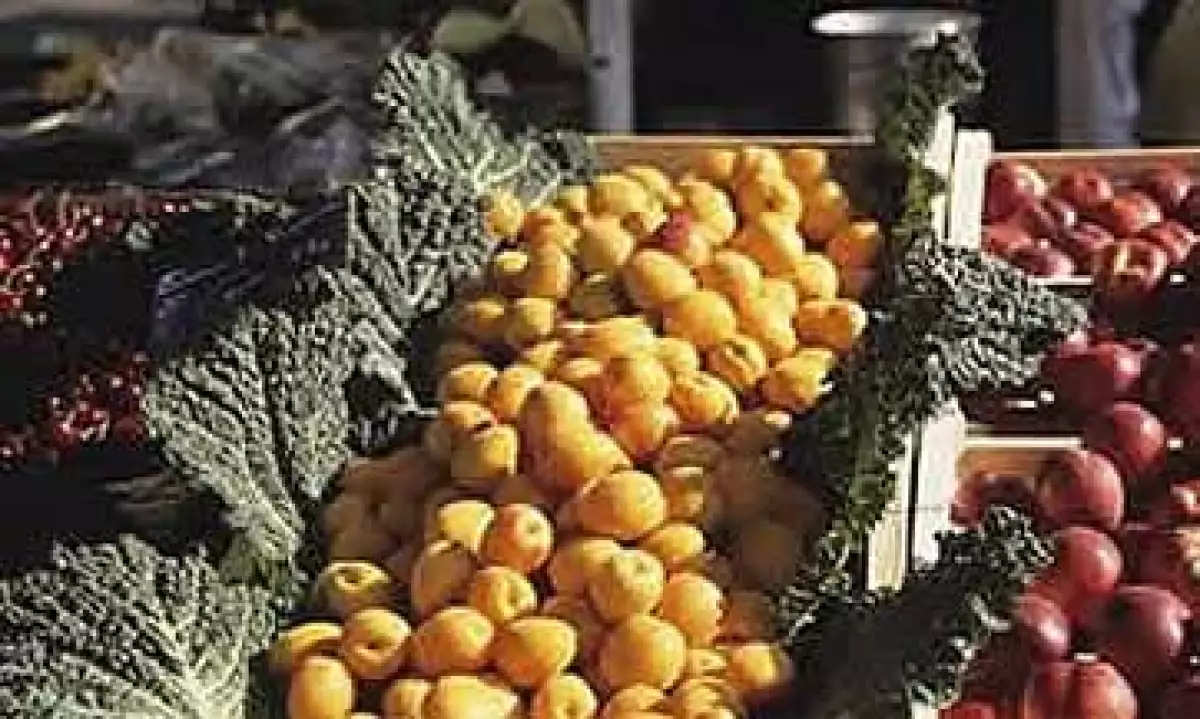 Vegetales