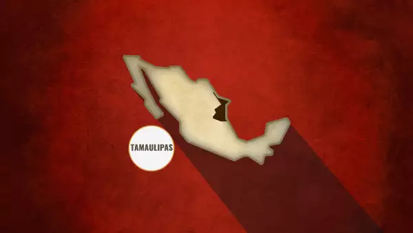Recolección de restos