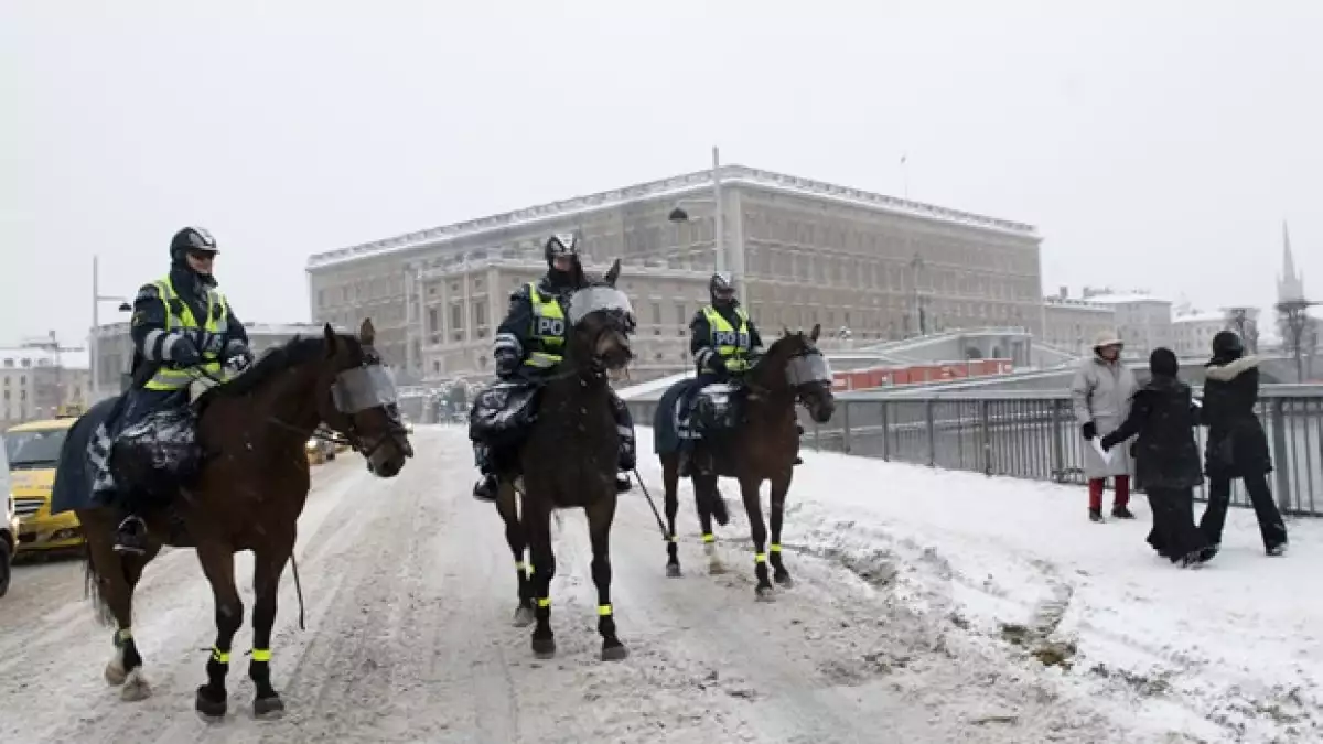 Suecia Palacio Real policia