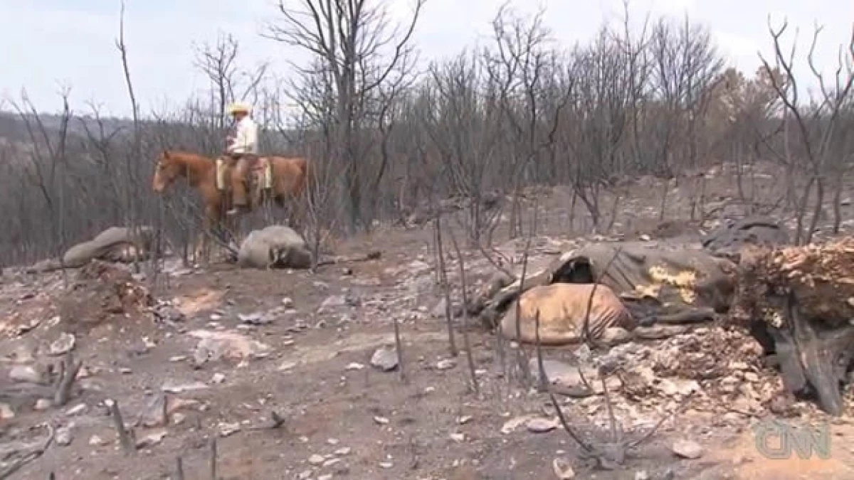 Texas - incendios