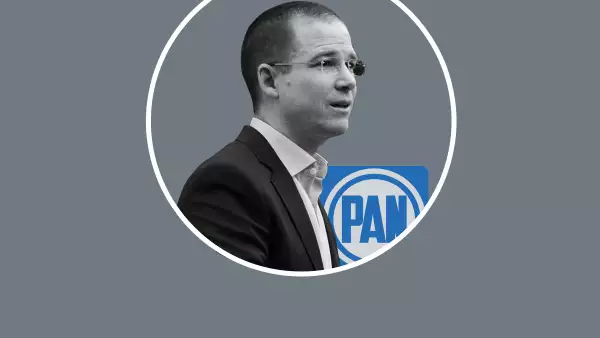 El líder blanquiazul Ricardo Anaya celebró los resultados de las elecciones pasadas y auguró que van a ganar las presidenciales de 2018.