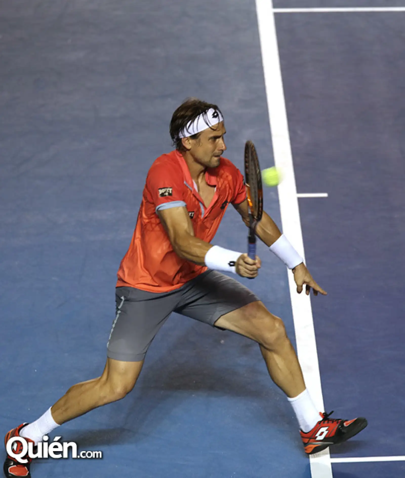 David Ferrer