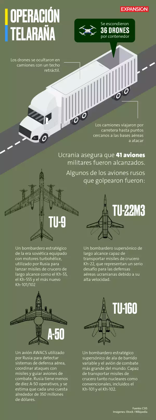 Infografía de la operación telaraña