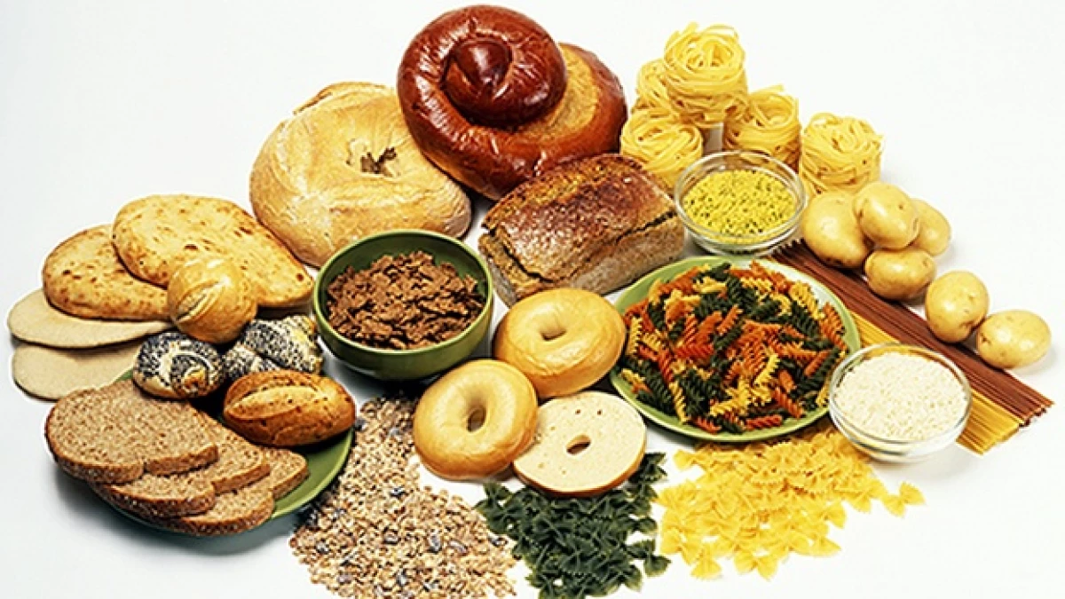 alimentacion comida