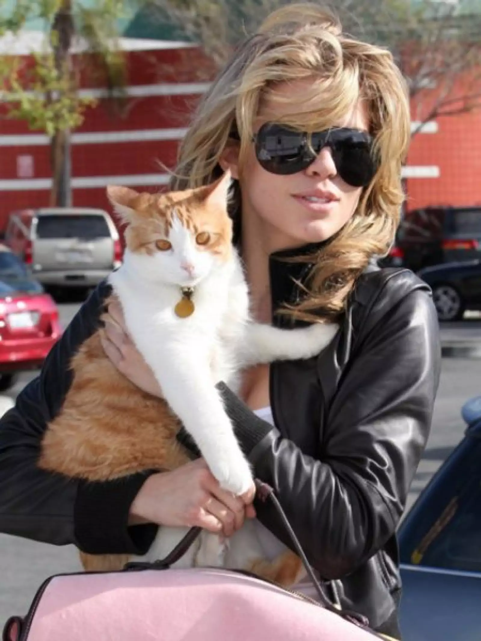 Un par de rubias muy guapas: Annalynne McCord llamó a su gata Mouse.