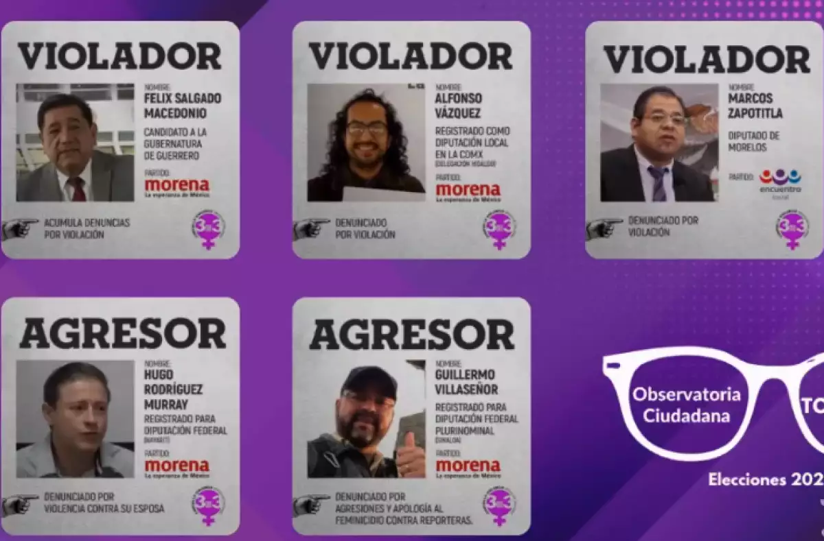 observatoria ciudadana