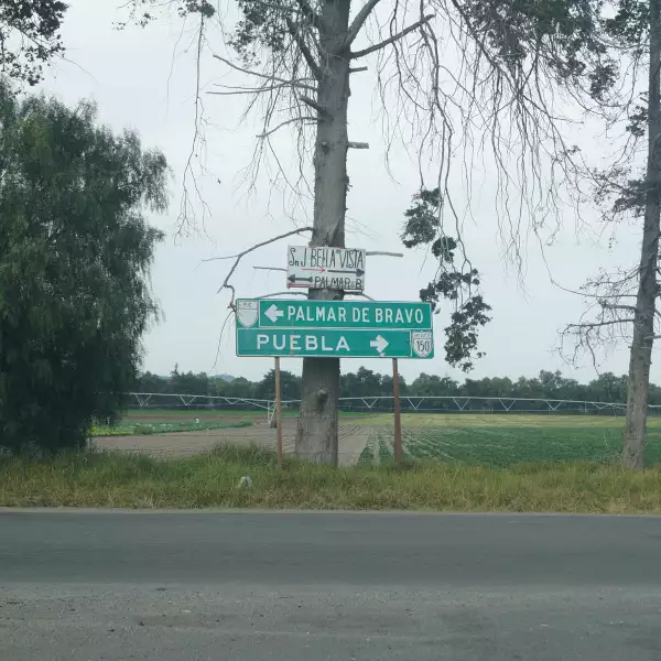 Durante el 2015, en Palmar de Bravo se cuadruplicó el número de tomas clandestinas en comparación con el 2014