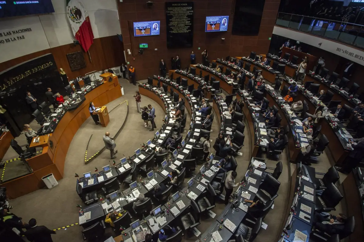 En la imagen se ve una sesión del Senado. 