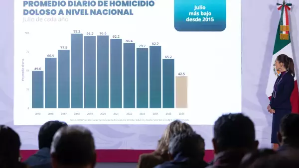 homicidios diarios.jpeg