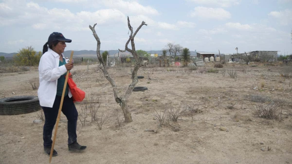 Dolores Bazaldua, mother of Debanhi Susana Escobar, takes part in a search with friends and people in an area after the disappearance of Debanhi, in Monterrey