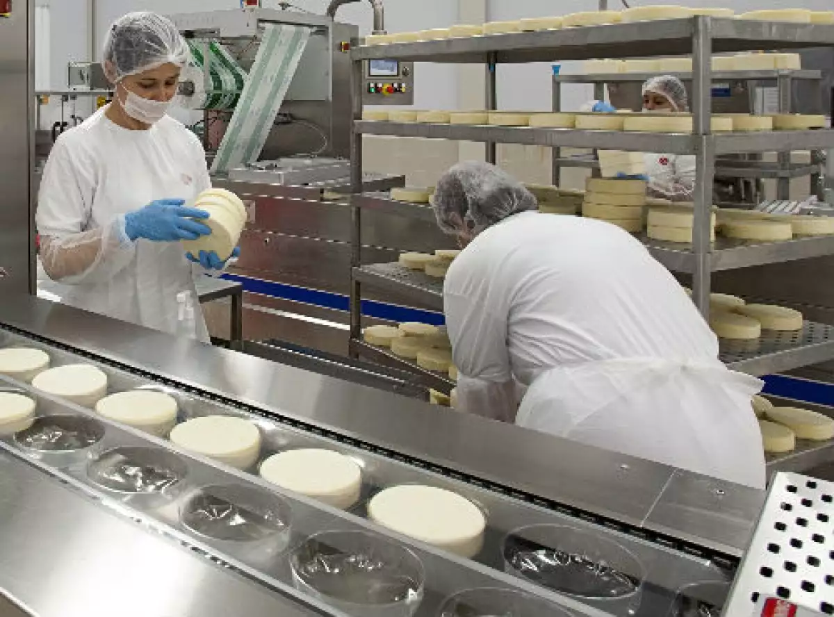 producci�n de queso