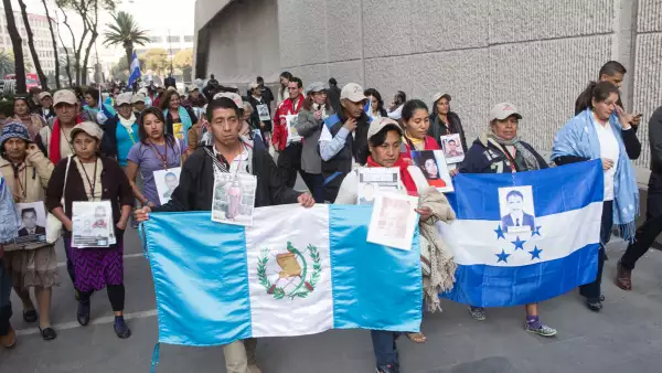 Las organizaciones