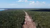 (Activistas protestan en el tramo 5 del Tren Maya por el impacto ambiental y la destrucción de la selva provocada por el proyecto, en Playa del Carmen, México)
