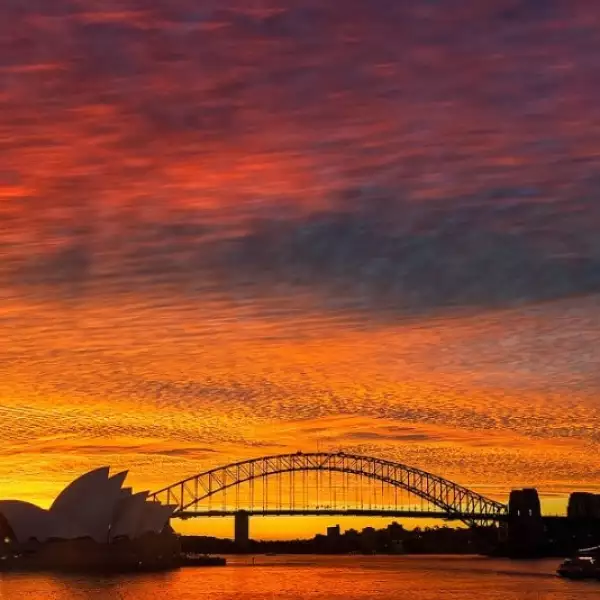 opera de sidney richard hirsty