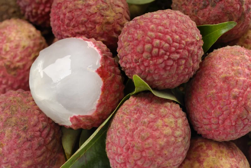 Lychees (Litchi chinensis)