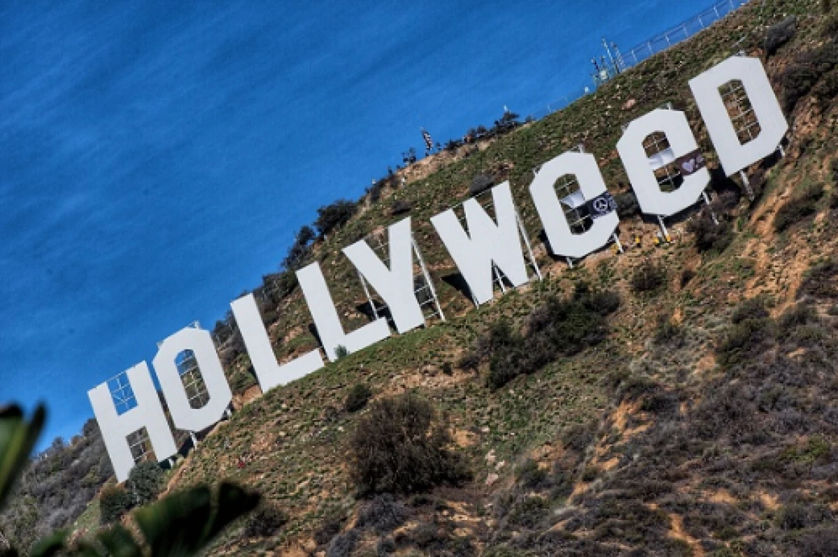 Hollyweed