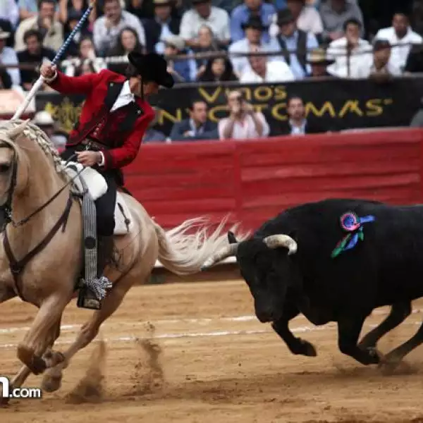 Reoneador Pablo Hermoso de Mendoza