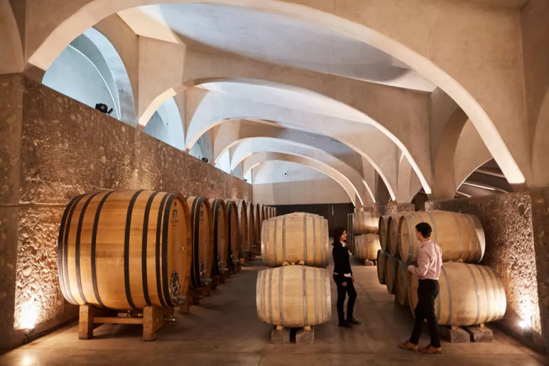 Balero, la vinícola mexicana que le perdió miedo a traspasar las fronteras 