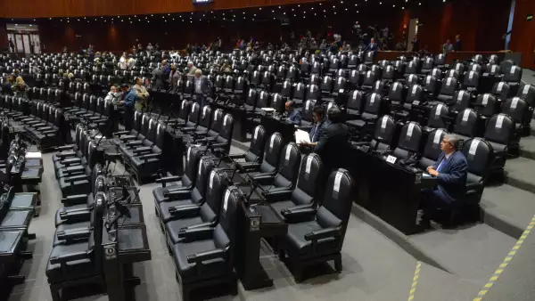 caámara de diputados