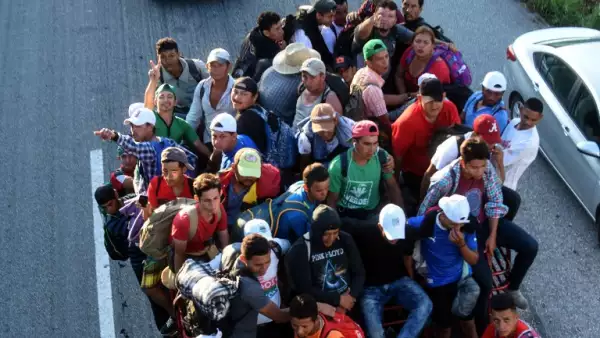 Migración.