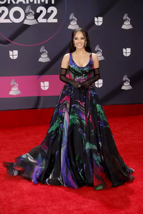 23rd Annual Latin GRAMMY Awards - Arrivals
