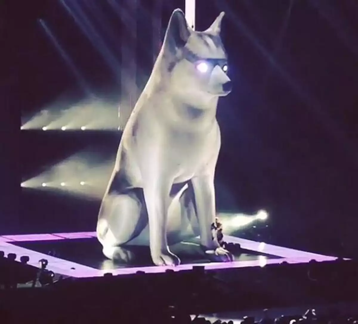 La reciente pérdida de “Floyd”, su mascota ha obsesionado a la cantante. Ayer en uno de sus shows cantó y lloró a una enorme estatua en el escenario.