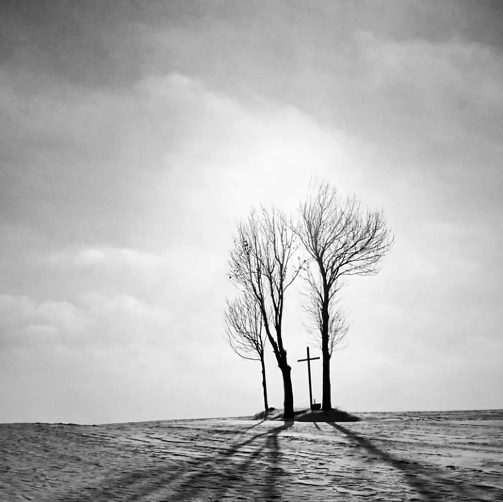 sony awards mobile shorlist