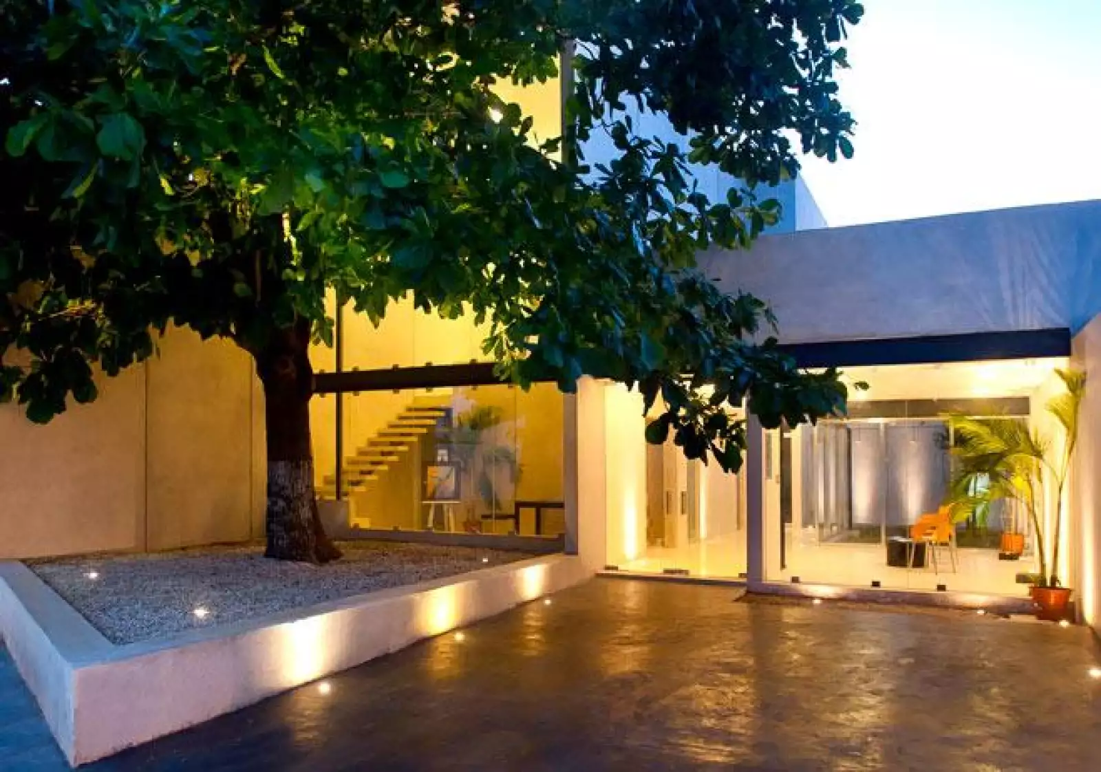 Despacho Sombra Almendro 01