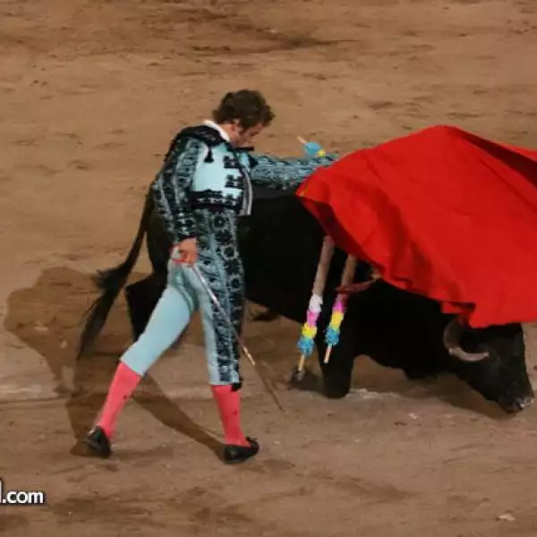 Corrida de Toros