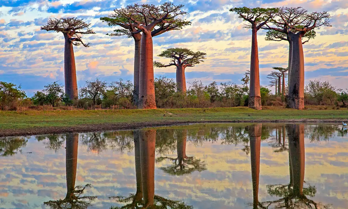 Madagascar