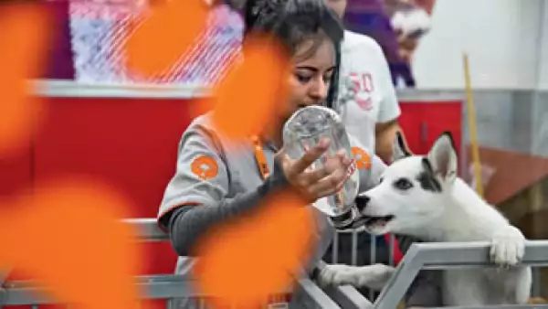 Maskota nació en 1994, cuando no había tiendas de animales ni productos para ellos. Hoy tiene 5% del mercado. (Foto: Jesús Almanza/Revista Expansión)