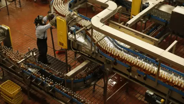 Pretenden producir 420,000 toneladas.