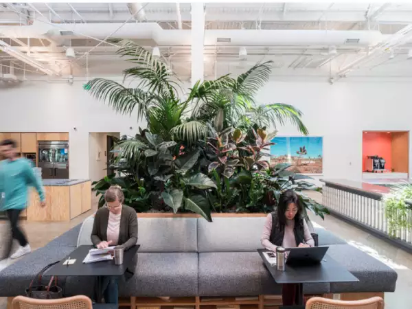 expansion-wework-oficinas.jpg