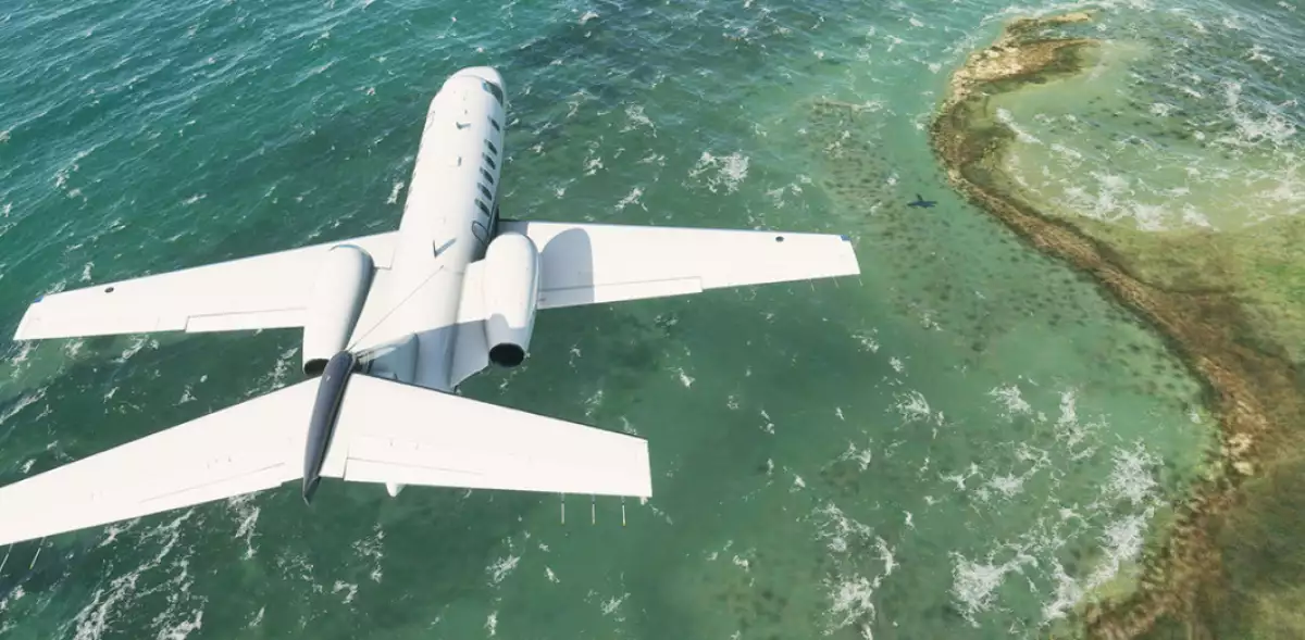 Microsoft Flight Simulator