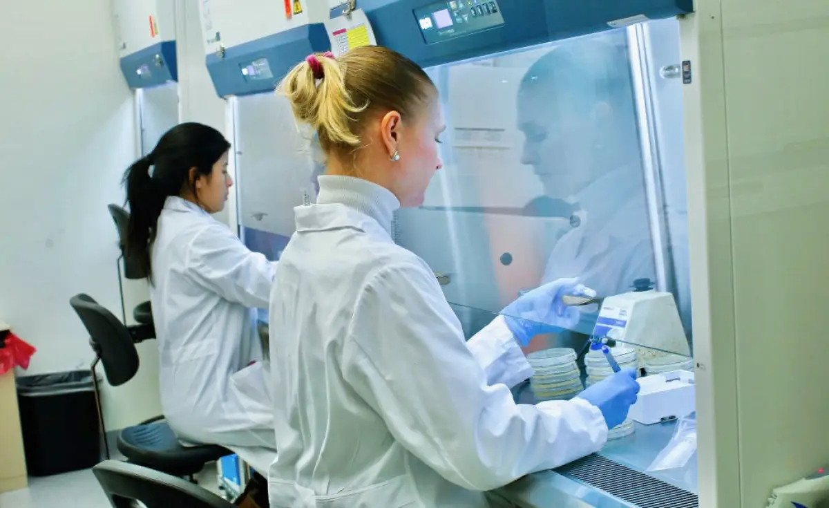 En los alimentos la biotecnología interviene en procesos como la fermentación y el desarrollo de nuevos productos donde la microencapsulación permite proteger microorganismos benéficos para mantener su viabilidad hasta llegar al lugar donde serán utilizados.