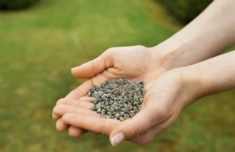 La chía ayuda a la digestión y a reducir niveles de colesterol en el organismo. (Foto: Thinkstock)