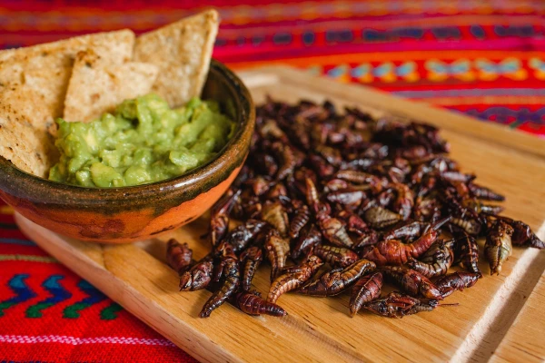Cortesía Winko
