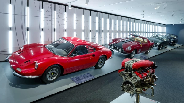 Driven by Enzo