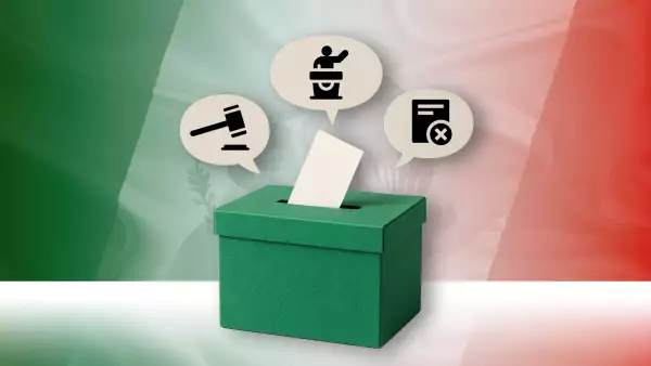 expansion-dayli-10-noviembre