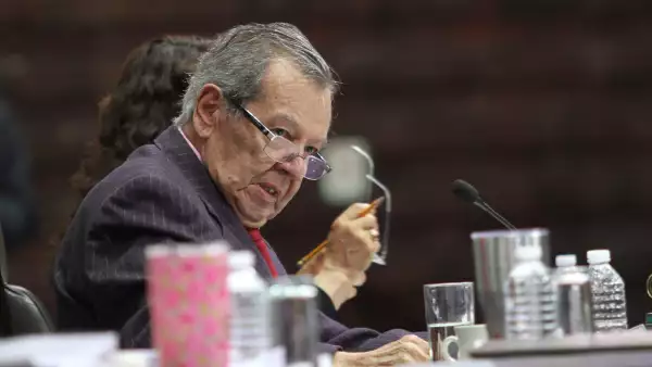 Porfirio Muñoz Ledo 