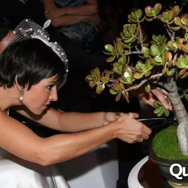 Boda Paulina Gómez Riebeling y Adrián Guerrero Castellanos