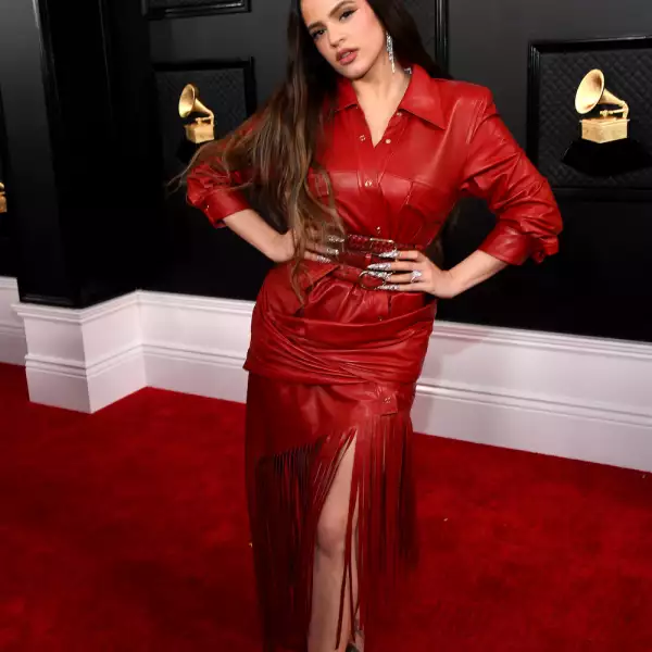 62nd Annual GRAMMY Awards ‚Äì Red Carpet
